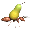furnică imagini-animate-gif